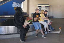 Man in gorilla suit with flowers. Bob Hope Airport, Burbank, California, USA. - Photo #8360