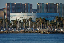 Planet Ocean mural. Long Beach, California, USA. - Photo #8560