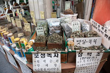 This Seoul store sells many different kinds of herbs. Dongdaemun market, Seoul, South Korea. - Photo #21360