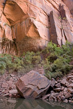 Fallen boulder at Upper Emerald Pool. Zion NP, Utah. - Photo #19462