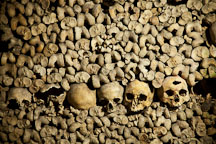 Row of skulls in the Paris Catacombs. Paris, France. - Photo #31564
