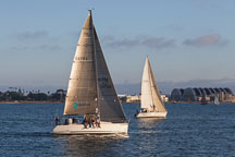 Sailboat in San Diego bay. - Photo #26464