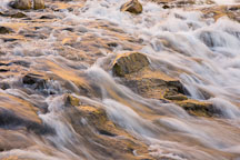 Streaming water glowing with the reflection of the afternoon light. North Fork Virgin River, Zion NP, Utah. - Photo #19264