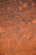 Petroglyphs of turtles, fish bones, and other birds and animals. V-Bar-V Ranch, Arizona, USA. - Photo #17765