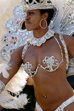 Carnaval's grand parade. San Francisco, California, USA. - Photo #6265