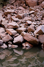 Fallen rocks at the Upper Emerald Pool. Zion NP, Utah. - Photo #19466