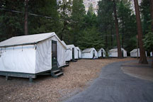 Tent cabins at Camp Curry. Yosemite National Park, California, USA. - Photo #4666