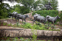 Cattle drive sculptures. Pioneer Plaza, Dallas, Texas. - Photo #24767