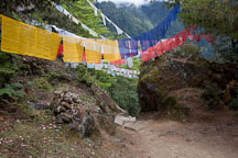 Prayer flags on the trail to Taktshang. - Photo #24267
