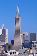 The Transamerica pyramid and the San Francisco skyline. San Francisco, California, USA. - Photo #1167