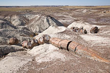 Freezing water causes the petrified logs to fracture. Long Logs Trail, Petrified Forest, Arizona. - Photo #17968