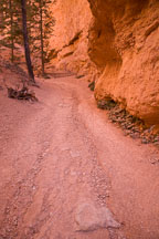 Navajo Trail descends into Bryce Canyon NP, Utah. - Photo #19069