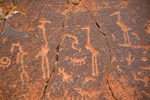 Pictures of V-Bar-V Ranch and Petroglyphs
