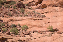 Switchback on the White House Trail. Canyon de Chelly, Arizona. - Photo #18207