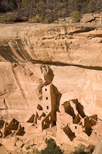 Square Tower House is built against the Navajo Canyon Wall. Mesa Verde NP, Colordo. - Photo #18671