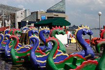 Paddle boats. Baltimore, Maryland, USA. - Photo #3872