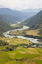 Rice fields and the Mo Chhu river in the Punakha valley, Bhutan. - Photo #23372