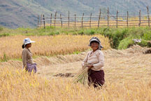 Pictures of Wangdue Phodrang