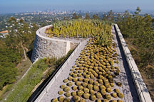Cactus garden, Getty Center. Los Angeles, California, USA. - Photo #8174