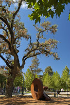 Courtyard at Niebaum-Coppola winery. Napa Valley, California, USA. - Photo #4576