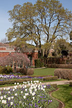 Grounds at Filoli Gardens. - Photo #24579