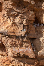 Mini stupa placed onto the rock face. - Photo #23008