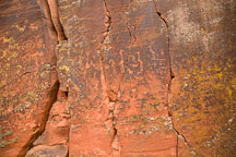 Petroglyphs. V-Bar-V Ranch, Arizona, USA. - Photo #17808