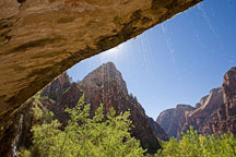 Water is forced through the sandstone by a layer of impermeable shale at Weeping Rock. Zion NP, Utah. - Photo #19380