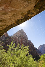 Water drops falling from Weeping Rock. Zion NP, Utah. - Photo #19382