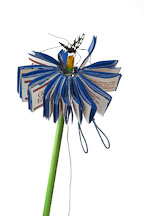 Flower book by Ceevah Sobel. - Photo #2183