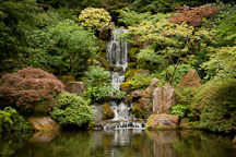 Waterfall at the Portland Japanese Garden. - Photo #28183