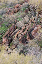 Apache trail. Arizona, USA. - Photo #5585