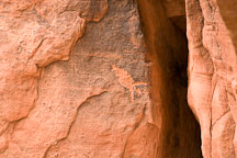 Petroglyph and desert varnish. V-Bar-V Ranch, Arizona, USA. - Photo #17785