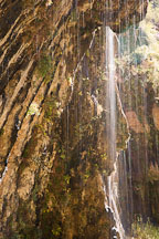 Water dripping from Weeping Rock. Zion NP, Utah. - Photo #19385