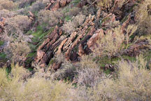 Chaparral Apache trail. Arizona, USA. - Photo #5586