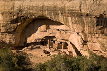 Oak Tree House, a cliff dwelling inhabited by the Ancestral Puebloans. Mesa Verde NP, Colorado. - Photo #18687
