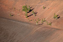Pine trees on the inner rim of the Cinder Cone crater. Lassen NP, California. - Photo #27188