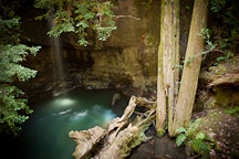 Sempervirens Falls. Big Basin Redwood State Park, California. - Photo #26788