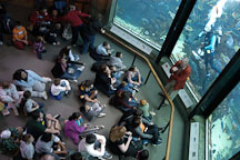 Children at the Montery Bay Aquarium listen to a tour guide. Monterey, California, USA. - Photo #5089