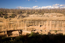 Fire Temple in late afternoon with shadow on the canyon walls. Mesa Verde NP, Colorado. - Photo #18690