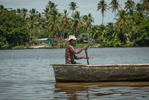 Man paddling a canoe. Tortuguero, Costa Rica. - Photo #14091