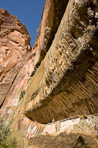 Overhanging rock at Weeping Rock. Zion NP, Utah. - Photo #19391