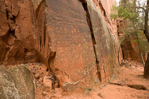 The petroglyphs at V-bar-V Ranch are located on a small section of rock. Arizona, USA. - Photo #17791