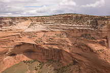 Mummy cave ruin is located on the cliff walls of Canyon del Muerto. Canyon de Chelly NM, Arizona. - Photo #18392