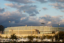 Soldier Field in the early morning. Chicago, Illinois, USA. - Photo #10692