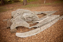 Whale skull bones. - Photo #26993