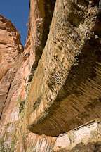 Alcove at Weeping Rock. Zion NP, Utah. - Photo #19395