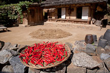 A basket of chili peppers dries in the sun. Korean Folk Village, Yongin, South Korea. - Photo #20496