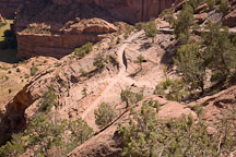 The White House Ruin Trail cuts into the sandstone rock. Canyon de Chelly, Arizona. - Photo #18198
