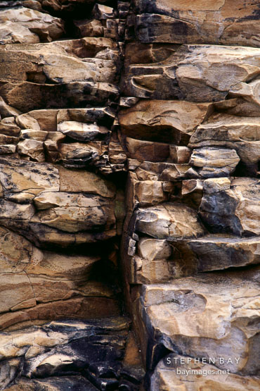 Santa Cruz Mudstone. Natural Bridges State Beach, Calfornia.